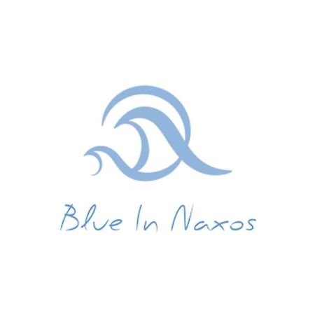 Hotel Blue In Naxos Naxos City Exteriér fotografie