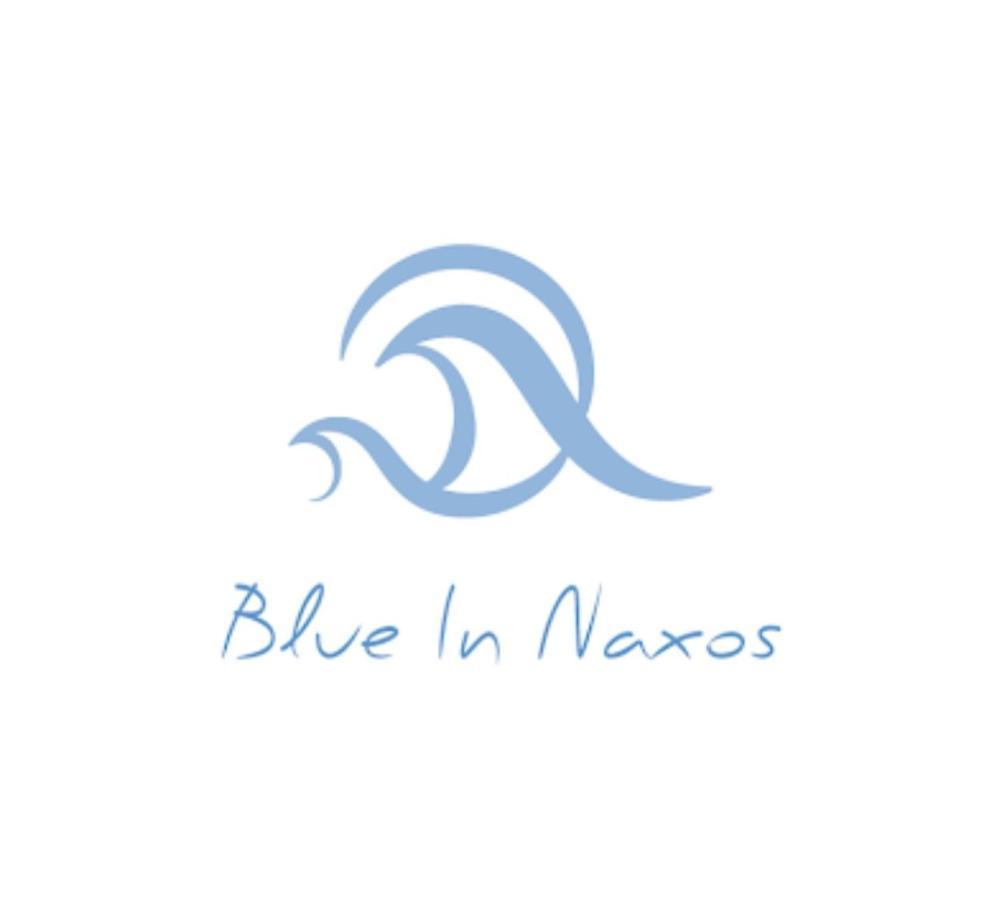 Hotel Blue In Naxos Naxos City Exteriér fotografie